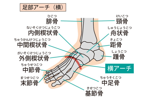 足半の効果 | eliyのあしなか（足半）は足裏・足指の機能改善、履き方